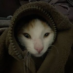 Meet your Posher, Elias